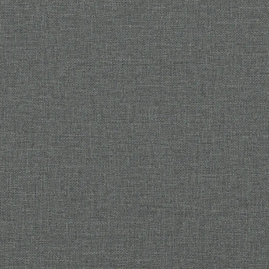 Divano a 2 Posti Grigio Scuro 120 cm in Tessuto 359228