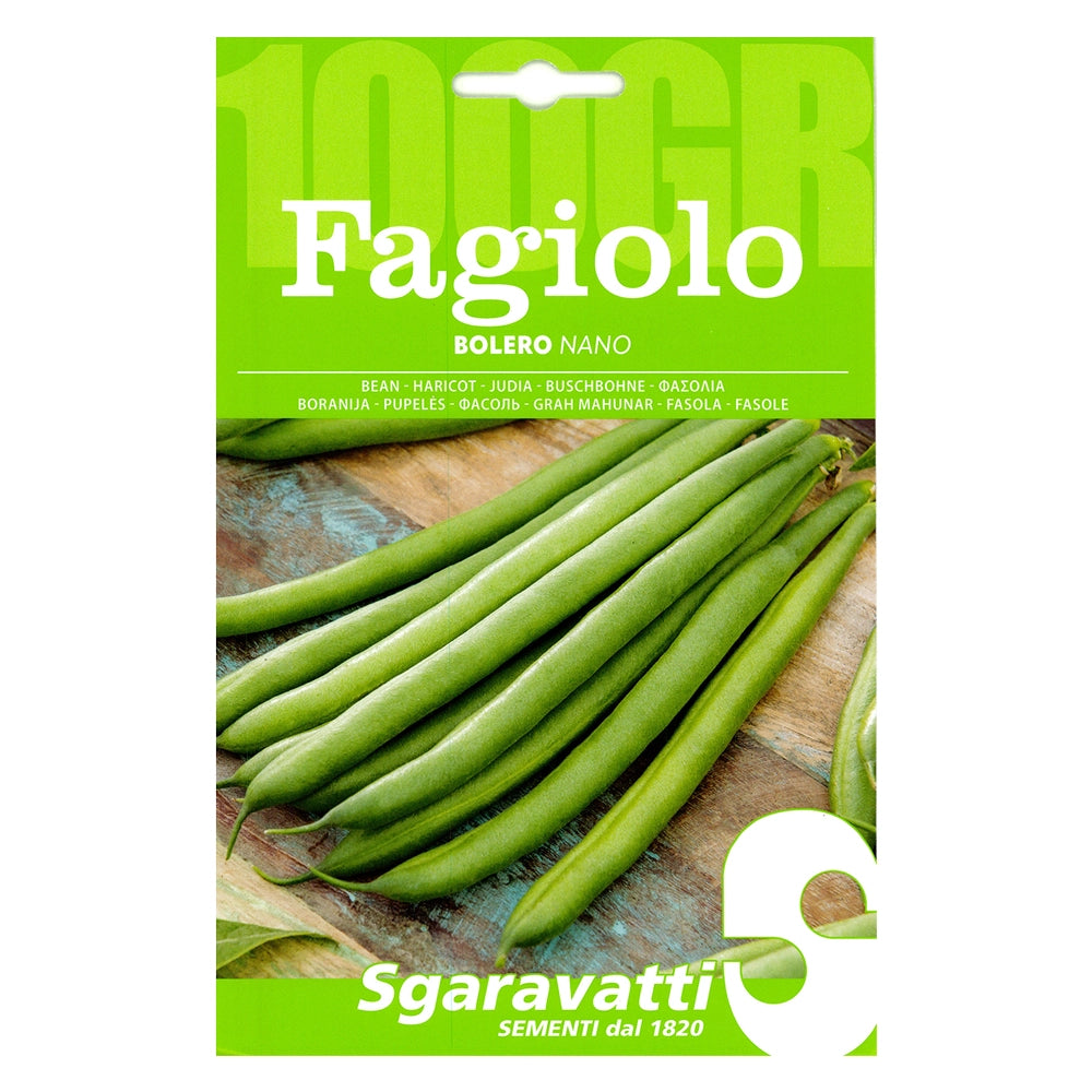 Semi per Fagioli Fagiolo Nano Bolero Sgaravatti 5 Pezzi 100 Gr