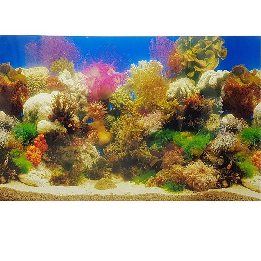 AQL Sfondo Esterno modello Reef cm 100x60H