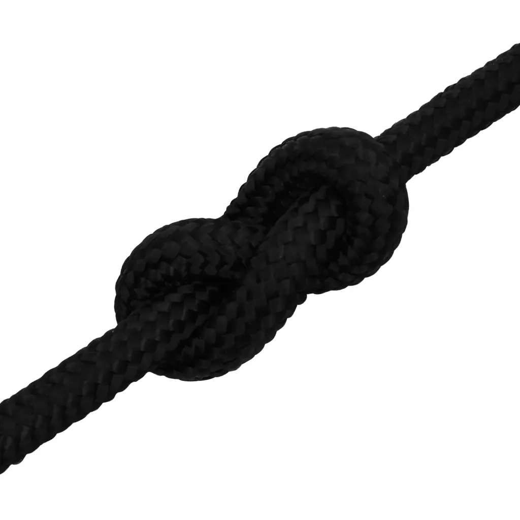 Corda da Lavoro Nera 16 mm 100 m in Poliestere 152836