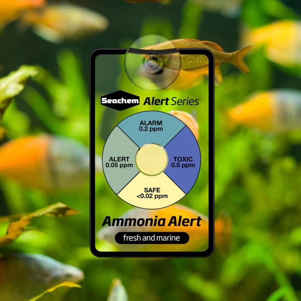 Seachem Ammonia Alert 1 year ( Test Permanente NH3) per Acqua dolce e Marina