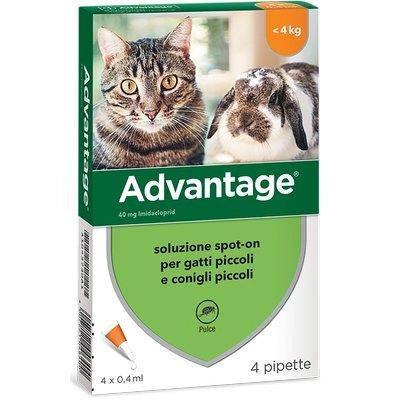 ANTIPARASSITARIO ADVANTAGE GATTI ELANCO - KG  0/4 CF=PZ 4- 1 confezioni