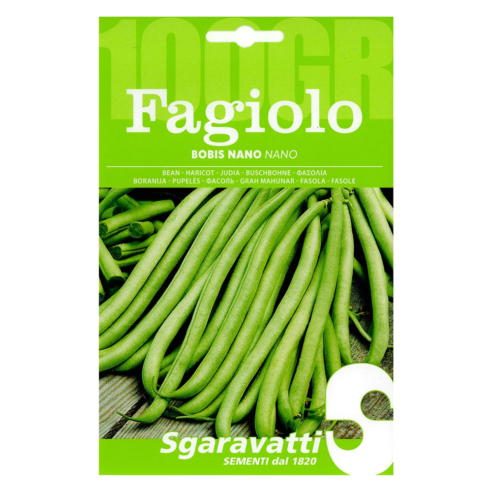 Semi per Fagioli Fagiolo Bobis Sgaravatti Bianco 5 Pezzi 100 Gr