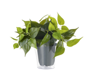 Pianta Finta con Vaso Trasparente Arredo Casa Interno Plant GD Trio