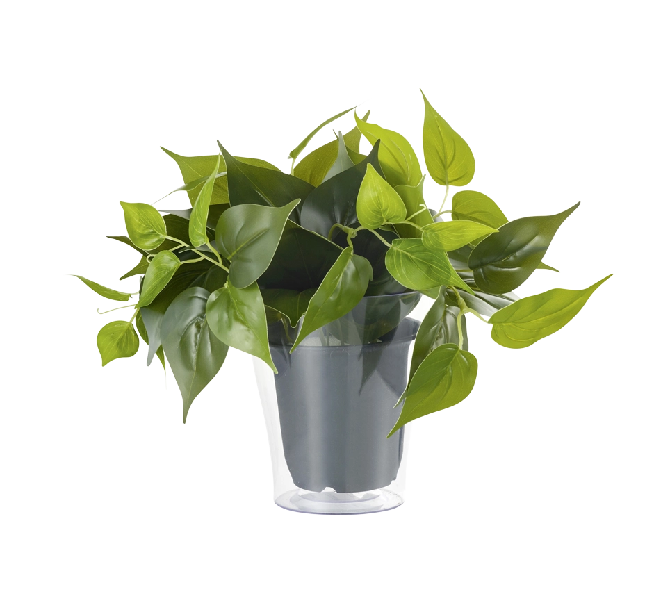 Pianta Finta con Vaso Trasparente Arredo Casa Interno Plant GD Trio