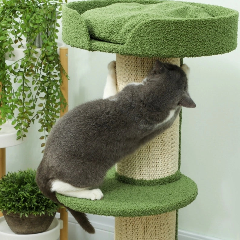 Albero tiragraffi per gatti 91 cm con piattaforma e cuccia, verde