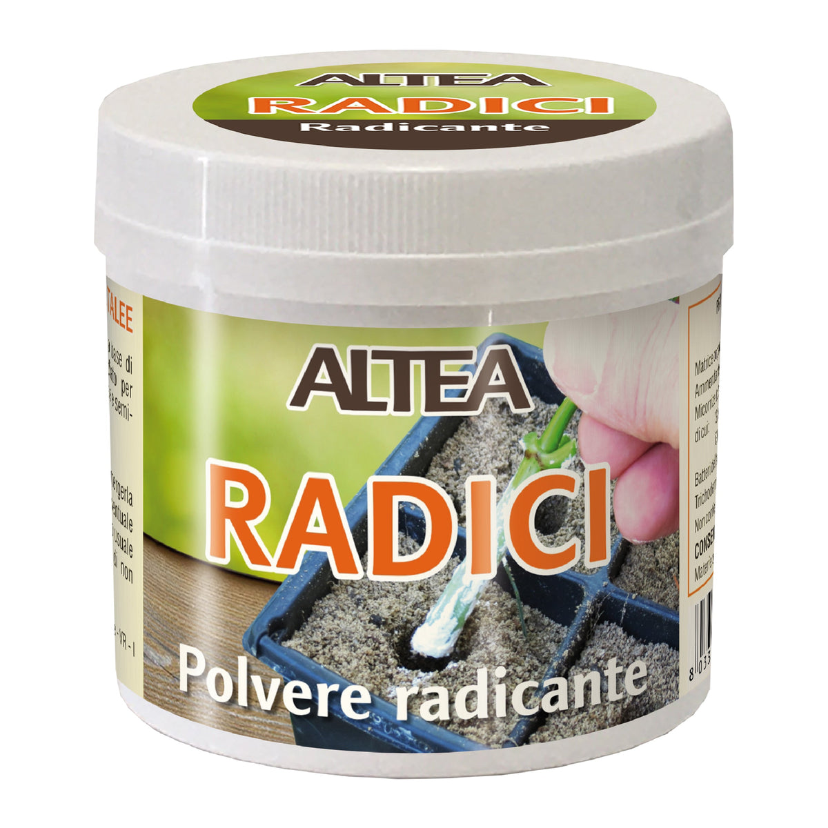 Altea radicante Radici gr.100