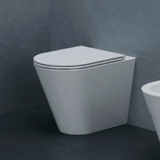 Wc a Terra Senza Brida Azzurra Ceramica "Forma" Bianco Lucido