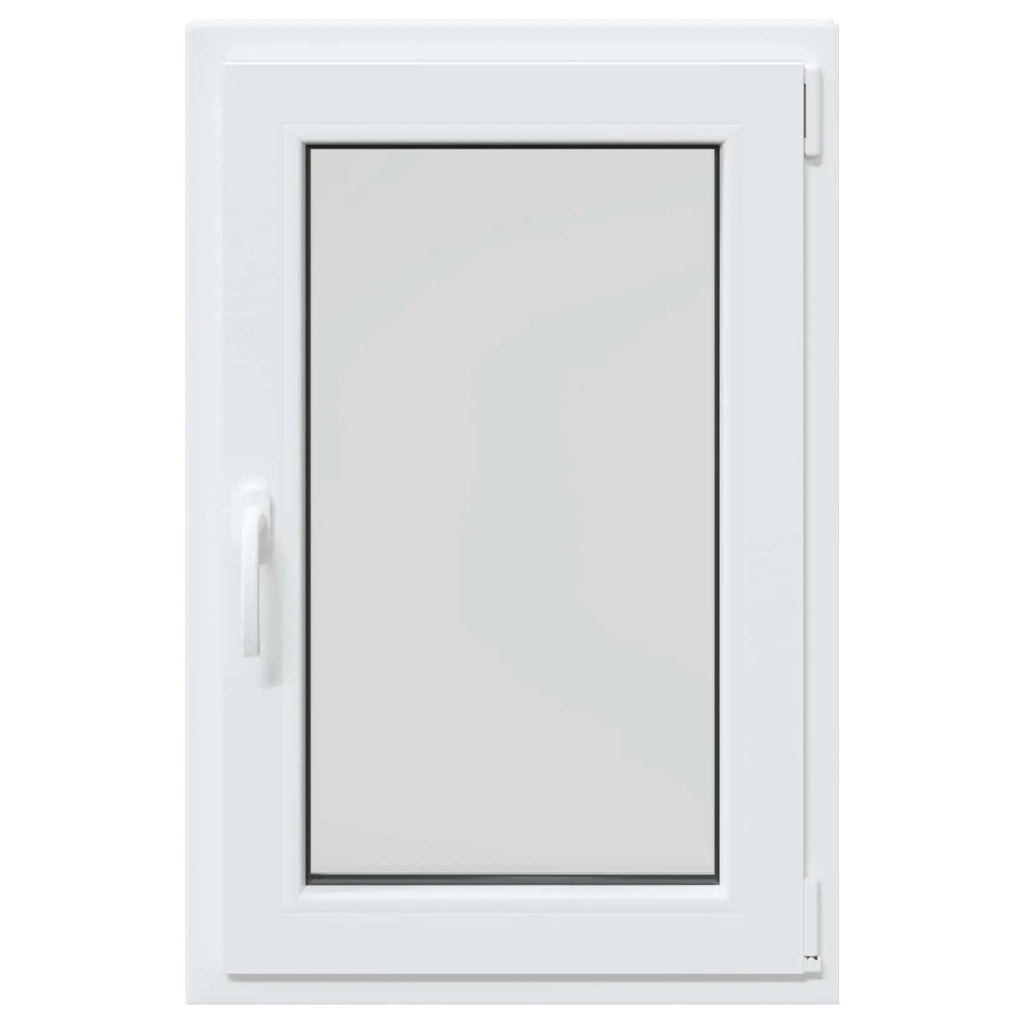Finestra per Soffitta RISOR 50 x 100 cm PVC e Vetro 42047882