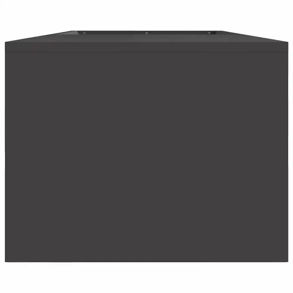Focolare Nero 160 x 45 x 35 cm Acciaio