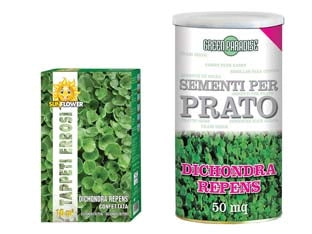 SEMI PRATO DICHONDRA REPENS- - gr.100 per mq.10 di prato - 5 pezzi FRANCHI
