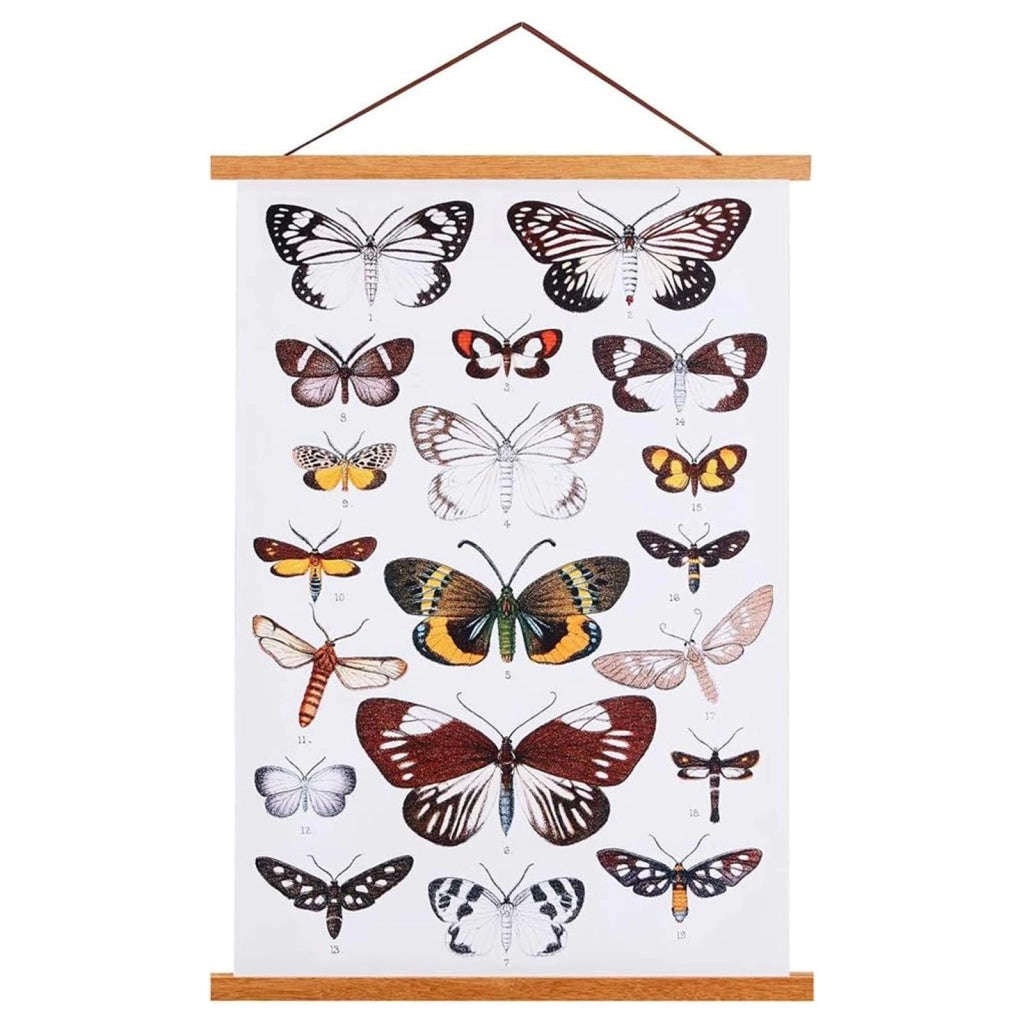 Telaio magnetico per poster in legno, 21 cm, teak