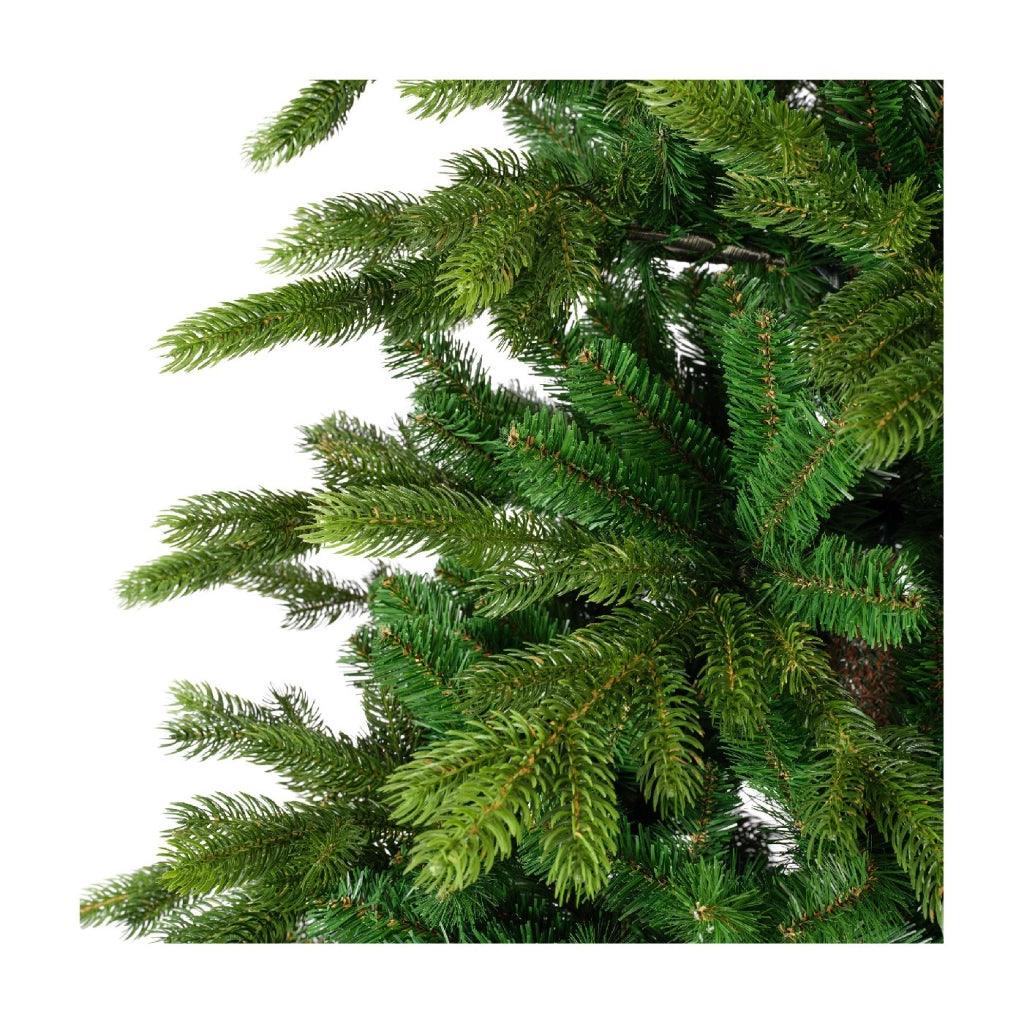 Albero Galloway Spruce D130 H210cm verde