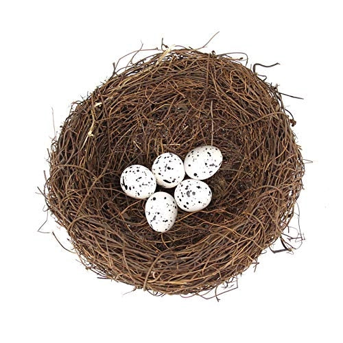 Nido artificiale per uccelli, con 5 uova in schiuma, 15 cm