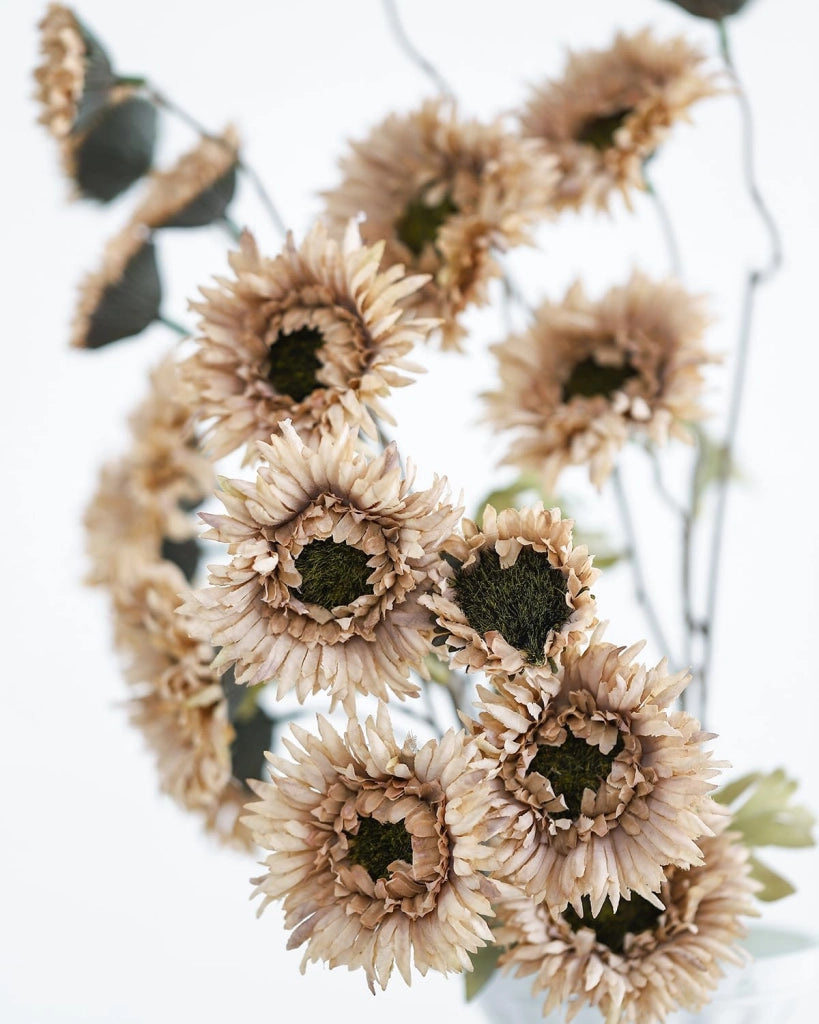 Gerbere artificiali, 6 pezzi, 30 fiori, color marrone caffè