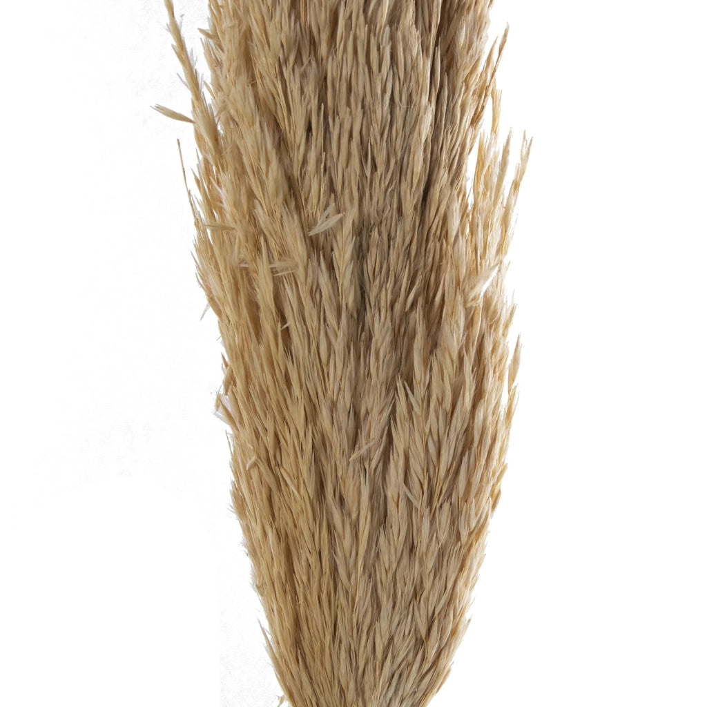 Set di 6 cannucce di bambù, 145 cm, materiale naturale
