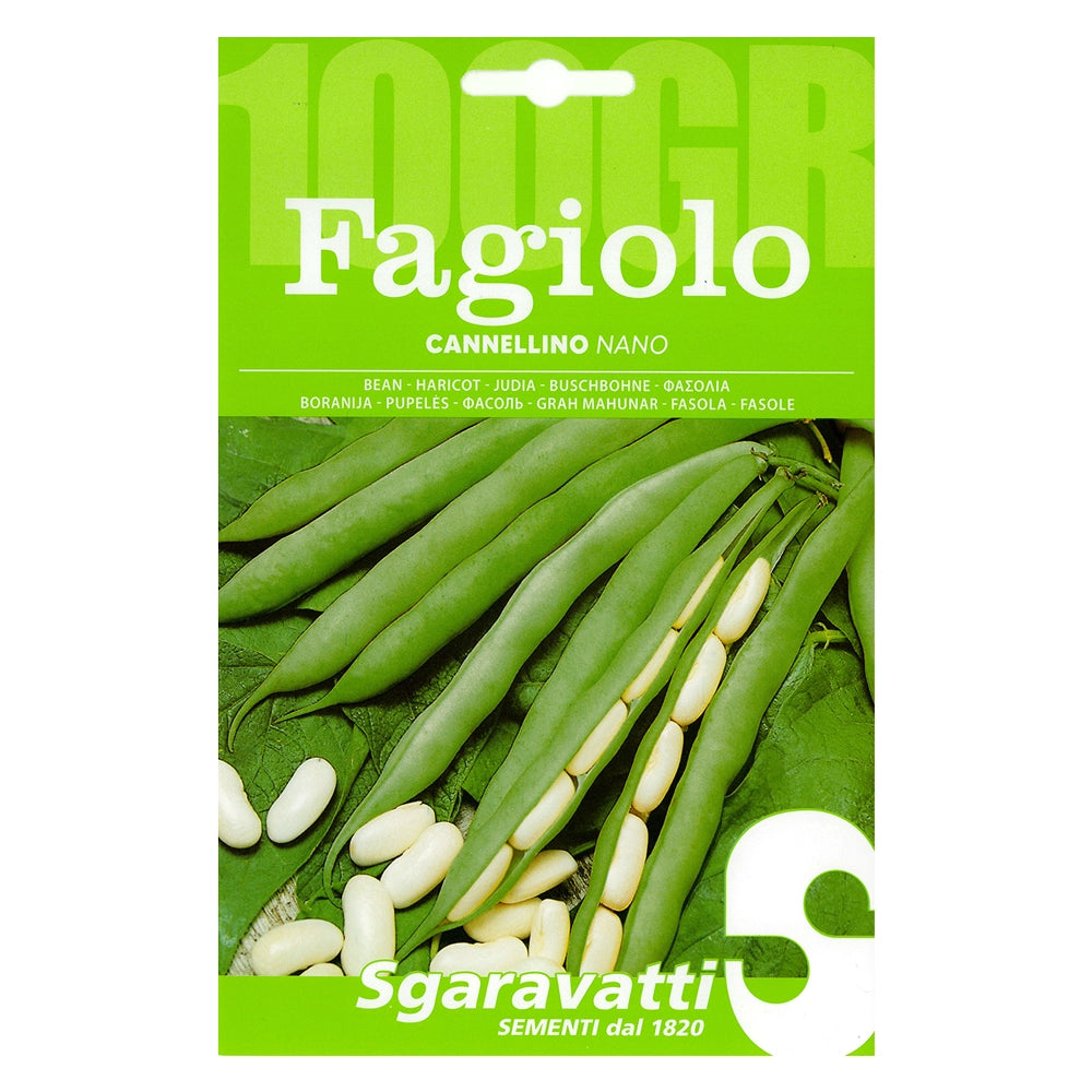SEMI PER FAGIOLI fagiolo nano cannellino - gr  250