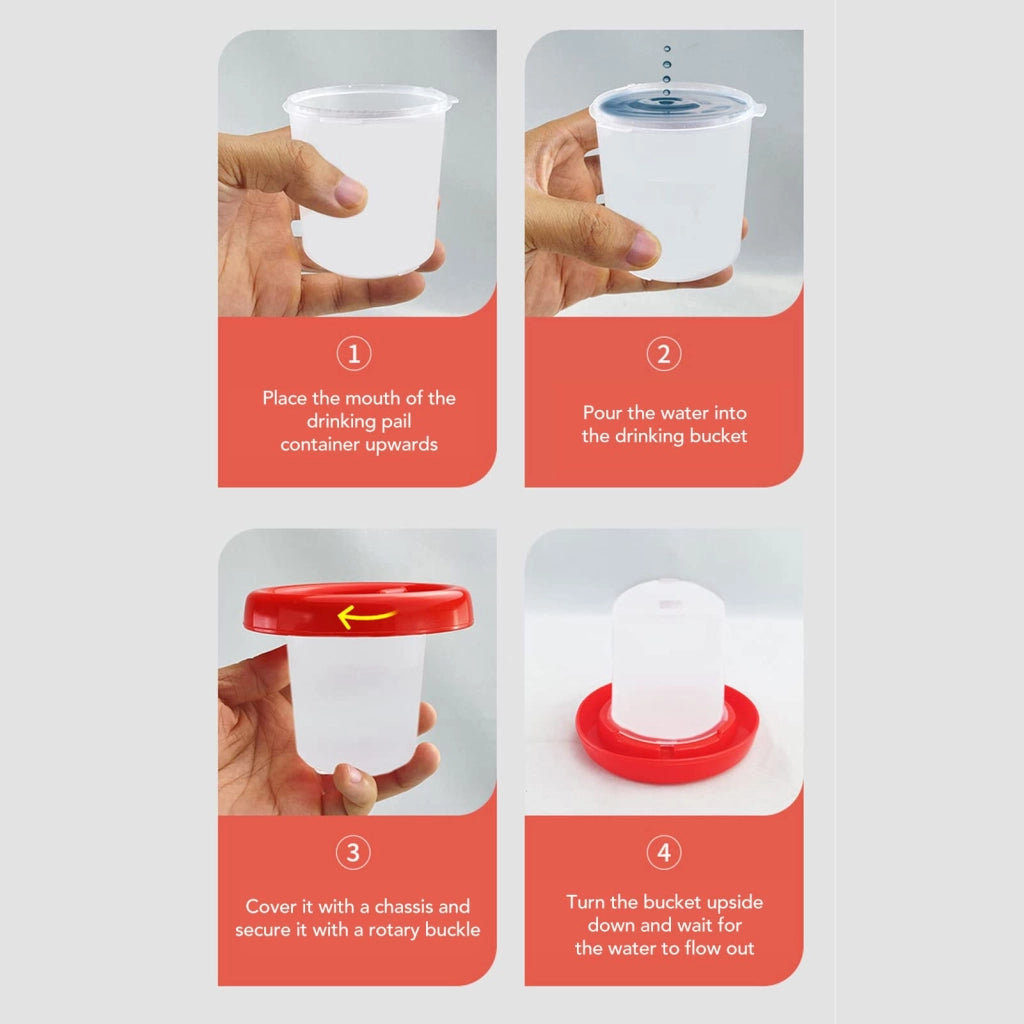 Set automatico per alimentazione e abbeveraggio del pollame, 160 g + 160 ml