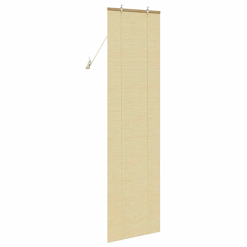 Tenda a rullo Natura 60 x 220 cm Bambù 42006879