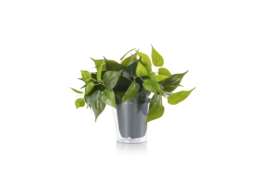 Pianta Finta con Vaso Trasparente Arredo Casa Interno Plant GD Trio