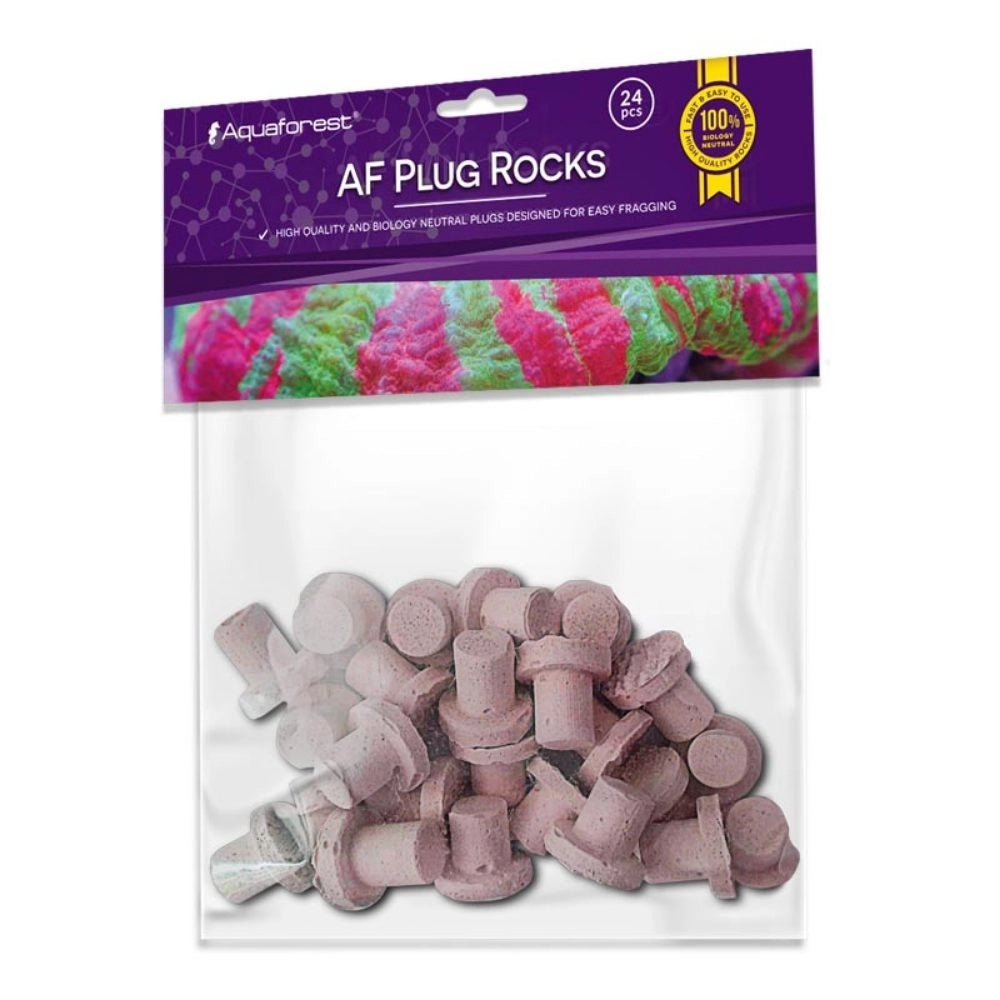 Aquaforest AF Plug Rocks 24pz - Basette ad innesto per Talee vari colori Colore: Purple