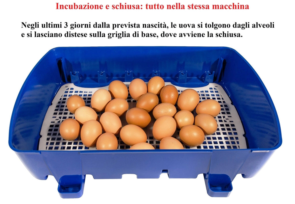 Incubatrice per Uova Semi Automatica Professionale Borotto Real 24