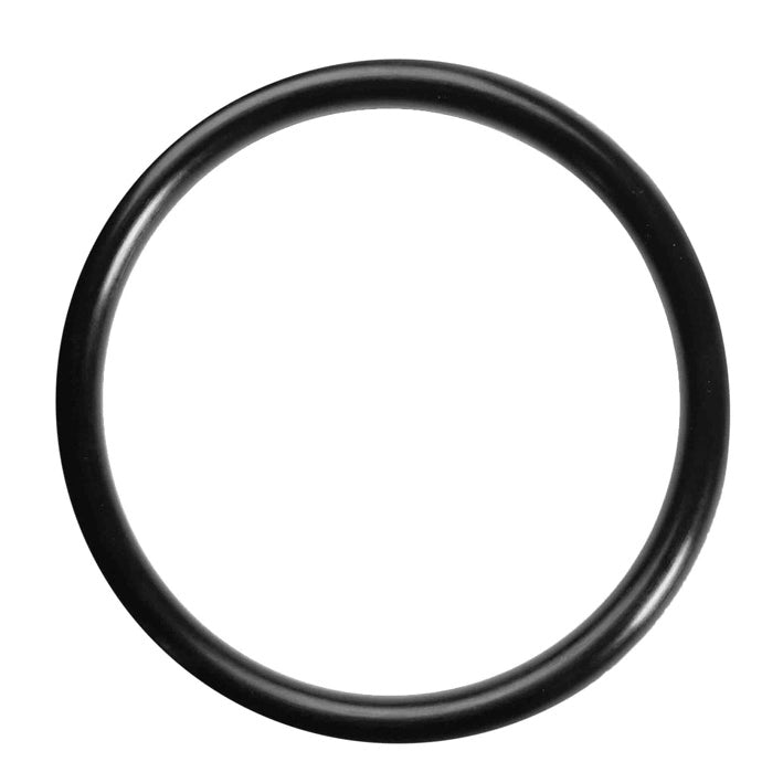 ANELLO O-RING Ø 18,3x3,6 mm - Confezione 100 pezzi