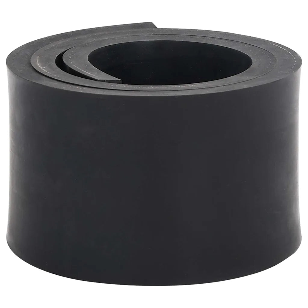 Bordo in Gomma per Spazzaneve Nero 120x8x1 cm 4103511