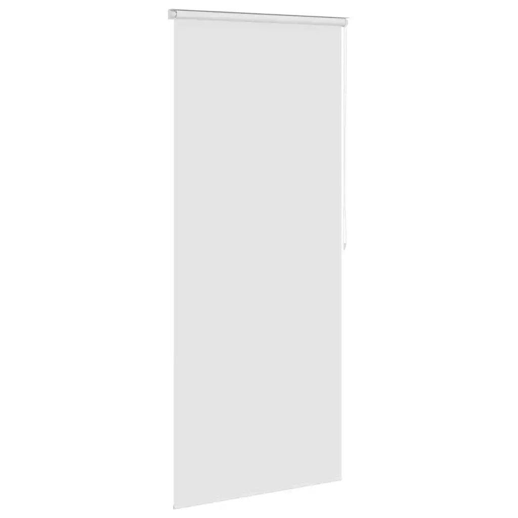 Tenda a Rullo per Doccia 120x240 cm Bianco 142843