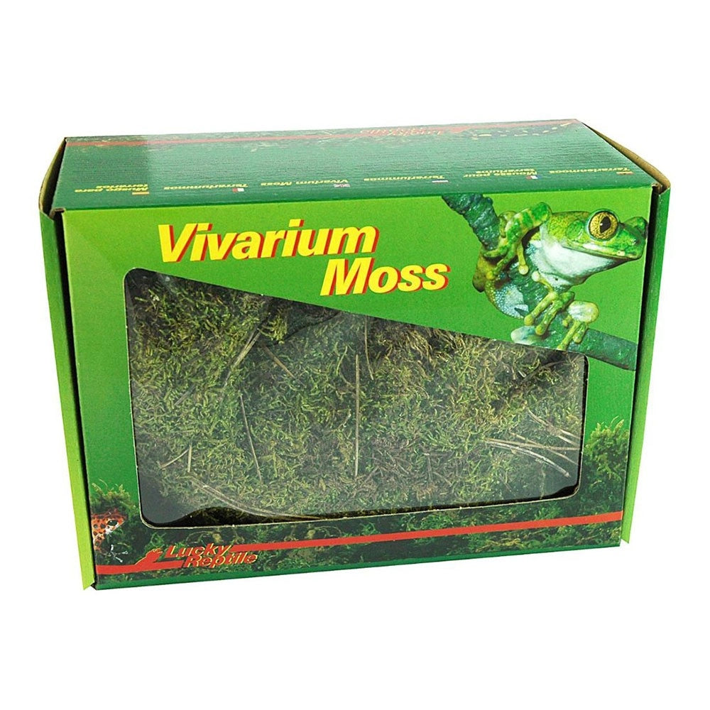 Lucky Reptile Vivarium Moss 150gr - muschio espandibile per terrari umidi