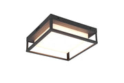 Plafoniera esterna LED Trio Witham antracite 14W IP54