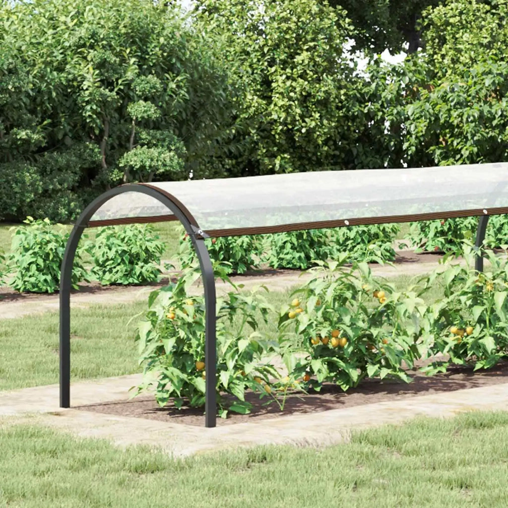 Copertura per Piante Trasparente 6 x 1,5 m PE 3429336