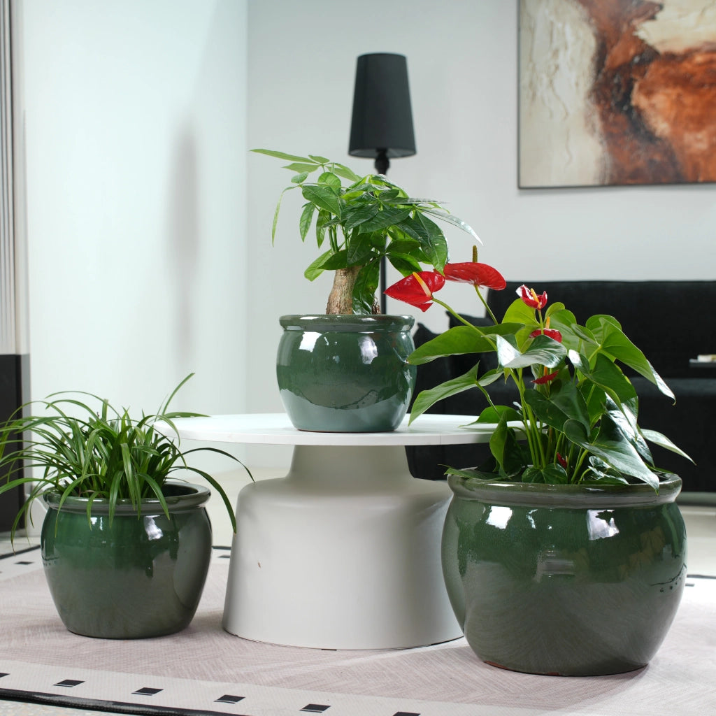 VASI Set da 3 pezzi Ø 37/30/23 cm Ceramica Blu-verde antico