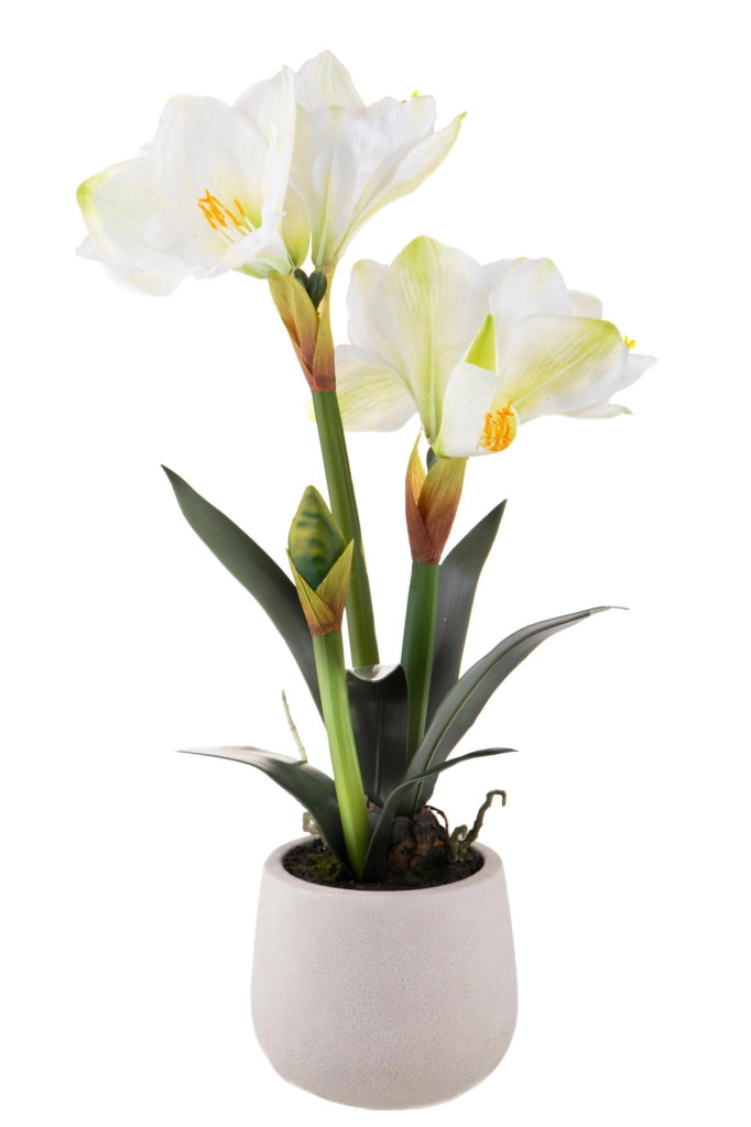Amaryllis Artificiale con Vaso Altezza 64 cm Bianco