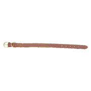 COLLARE PER CANE larg. mm 25 lung. cm 56  - BricoGo