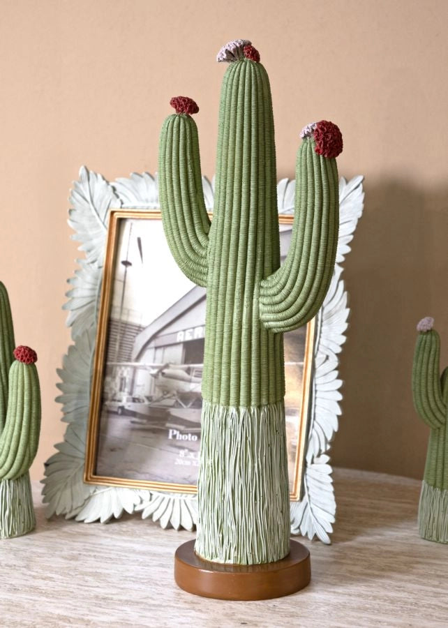 Cactus 16,5x11x45 cm in Resina Multicolor