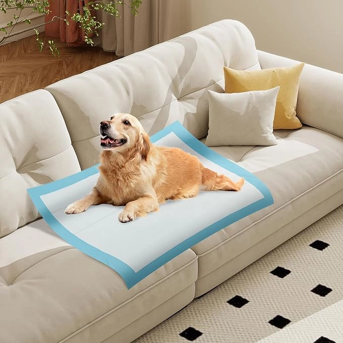 Tappetini Assorbenti per Cani, Tappetini da Interno ed Esterno per Animali Domestici a 6 Strati a Prova di Perdite, Asciugatura Rapida, Monouso per Urine, per Cagnolini (90 x 90 cm)