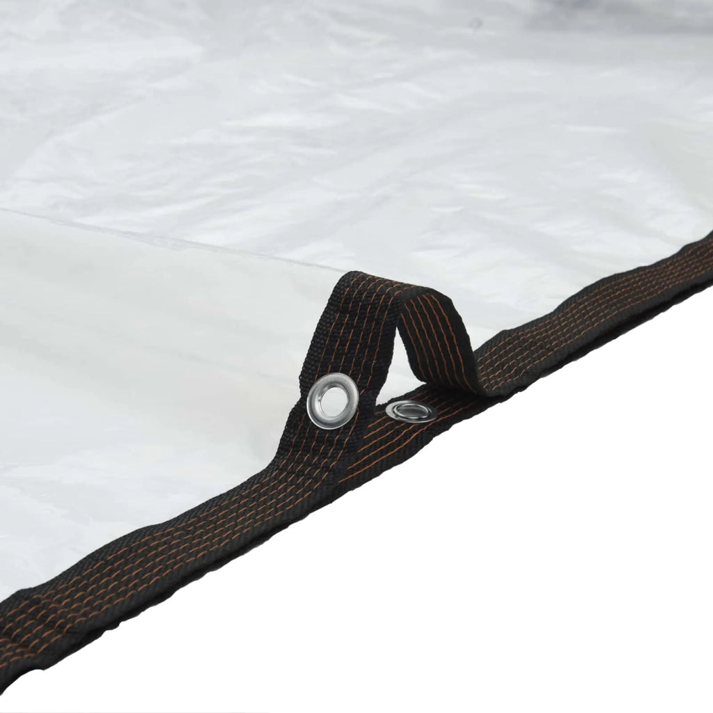 Tarp Trasparente 7 x 5 m PE 42038950