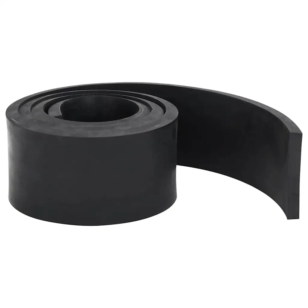 Bordo in Gomma per Spazzaneve Nero 180x10x1 cm CFW5172716