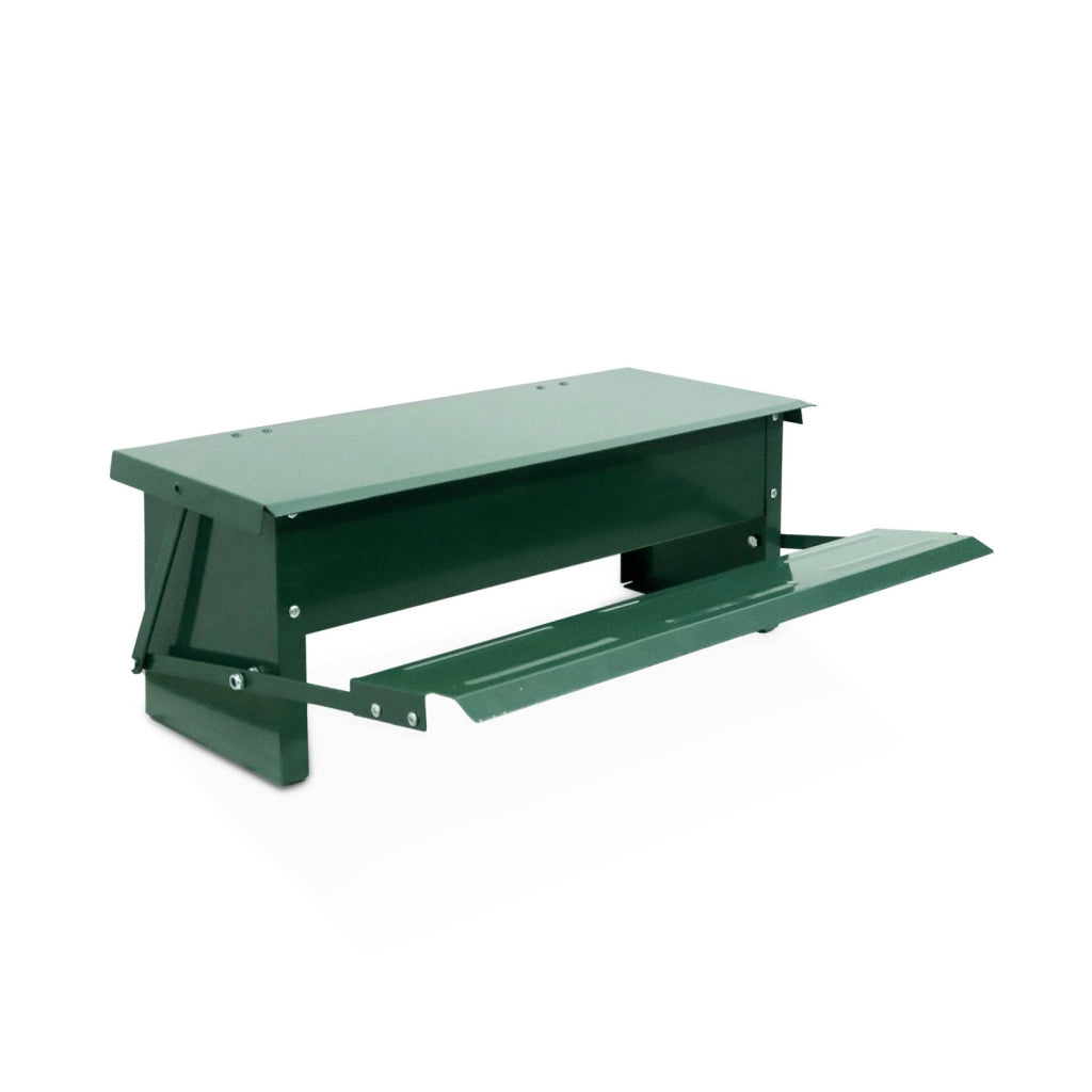 Alimentatore automatico per polli, 5kg, verde
