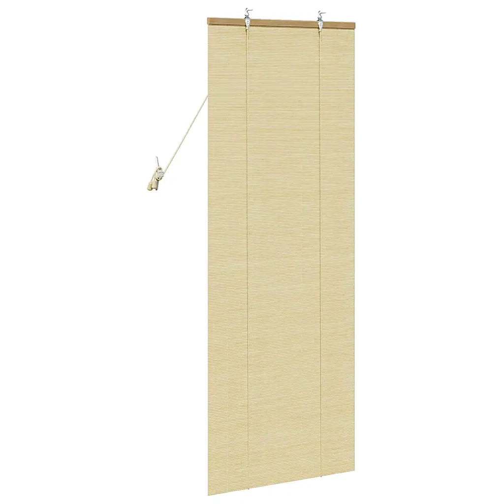 Tenda a rullo Natura 60 x 160 cm Bambù 42006878