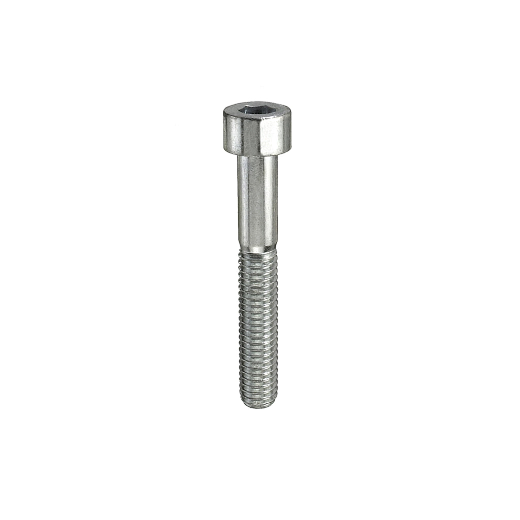 Viti testa cilindrica esagono incassato M4 x 20 - 12 pz.