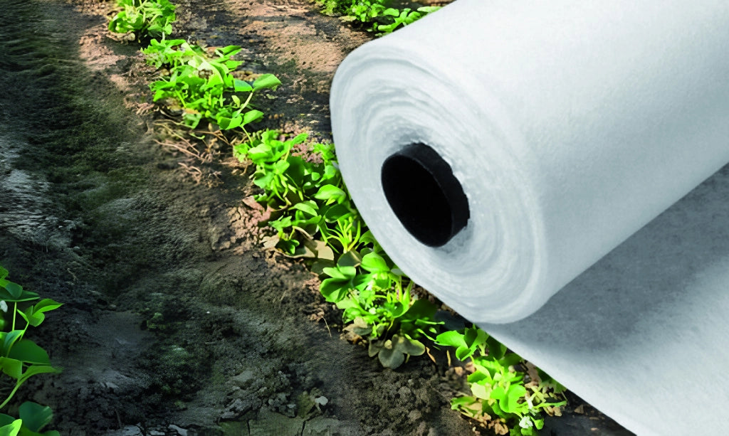 TELO DI PROTEZIONE ANTIGELO A ROTOLO  IN TNT mt. 2x250