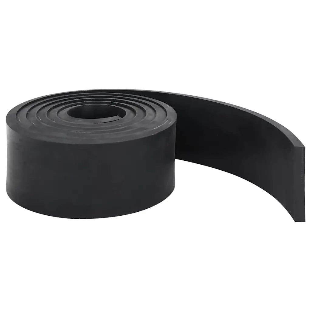 Bordo in Gomma per Spazzaneve Nero 250x8x1 cm 4103515