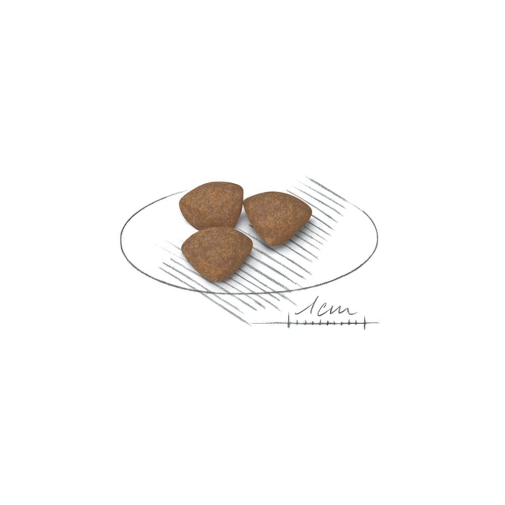 Royal canin mini puppy junior crocchette per cuccioli 3 confezioni da 800 grammi