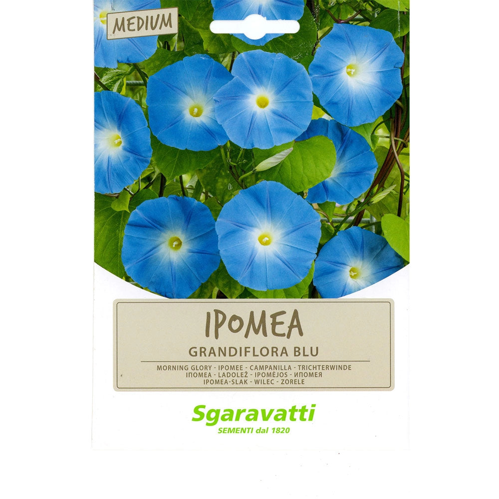 SEMI PER PRATO UNIVERSALE ipomea grandiflora blu- 10 pezzi  - SGARAVATTI