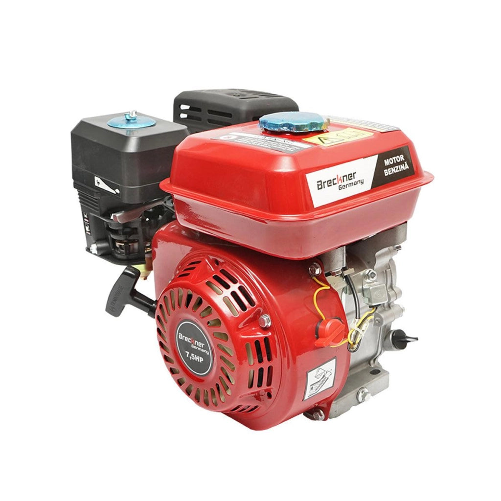 Motore a Scoppio 7,5 CV, Motore a Benzina 4 Tempi 196cc con Albero Ø 20 mm e Puleggia, Avviamento a Strappo Breckner Germany