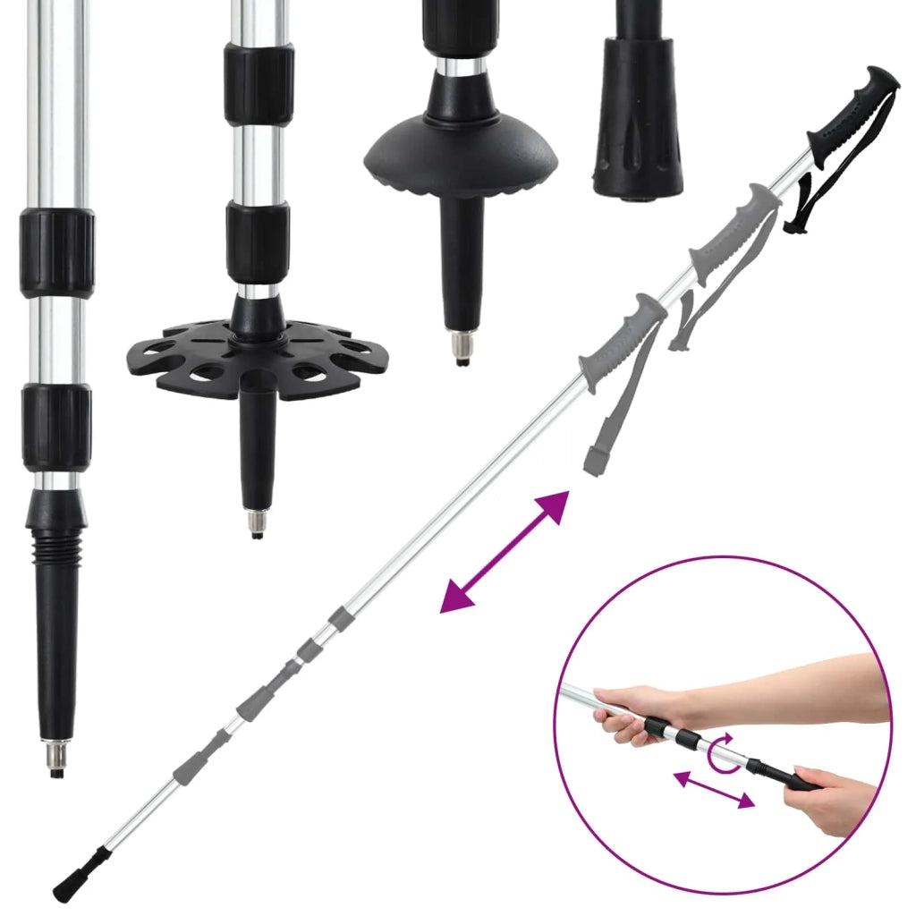 Racchette da neve 3 in 1 con bastoni da trekking Argento e Nero CFW8721120