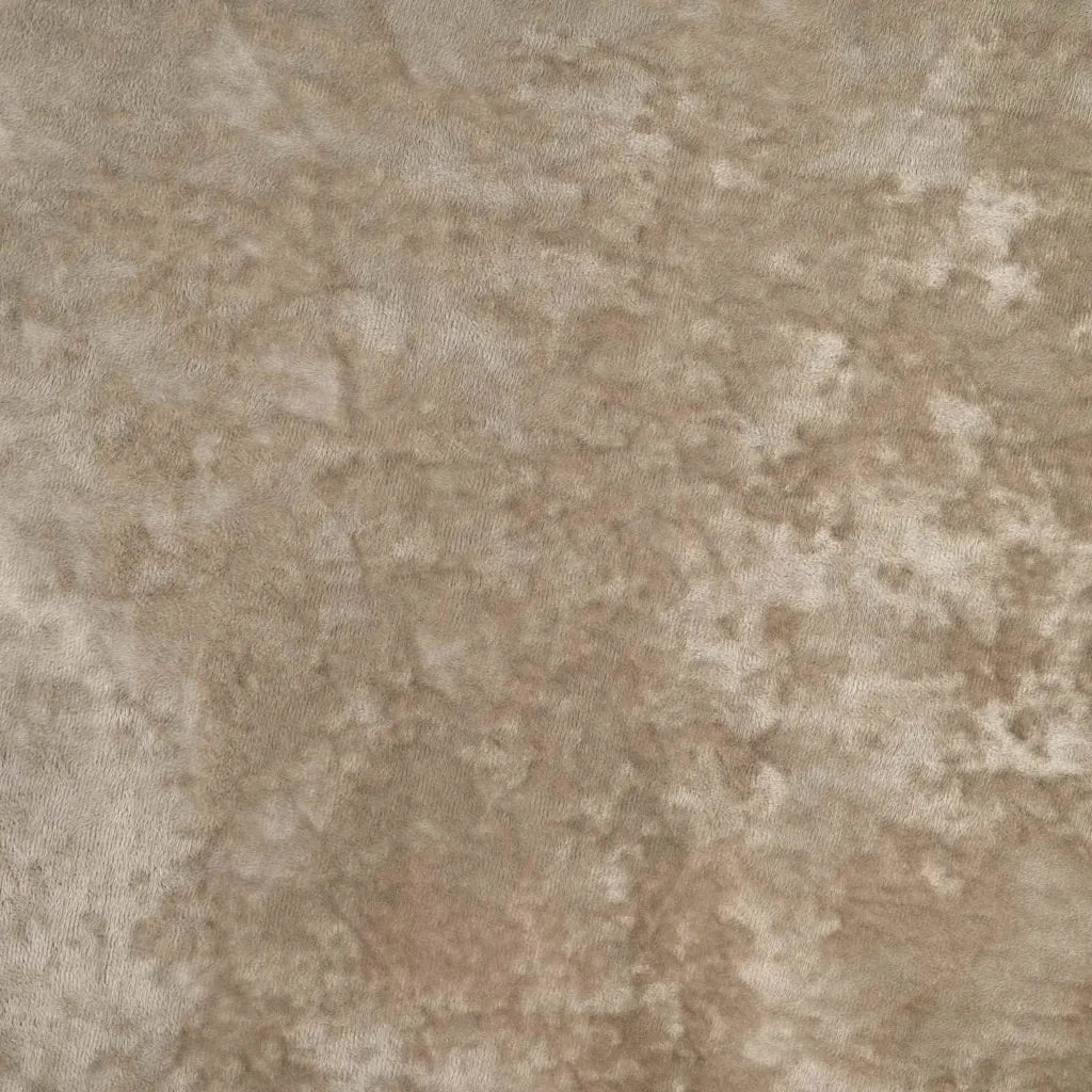 Tende in Velluto con tende 2 pcs Champagne 260 x 140 cm Velluto 4107712