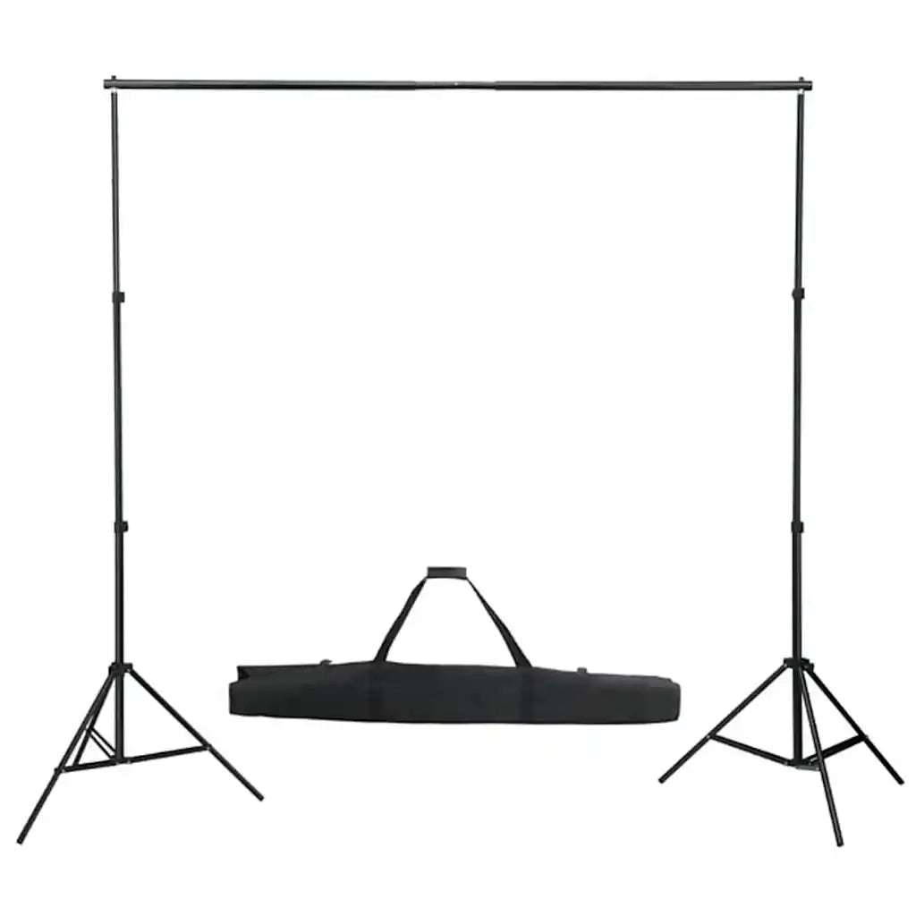 Kit per Studio Fotografico con Set di Luci e Fondale 3094652